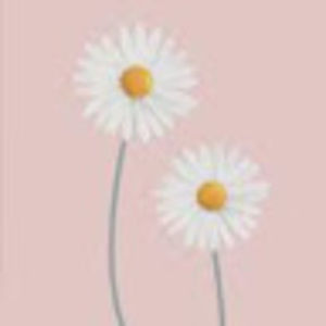 Meet your Posher, Lucy